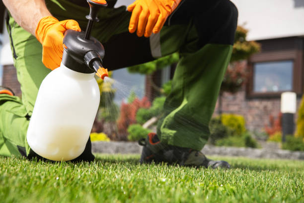 Best Pest Control Near Me in Menlo Park Terrace, NJ