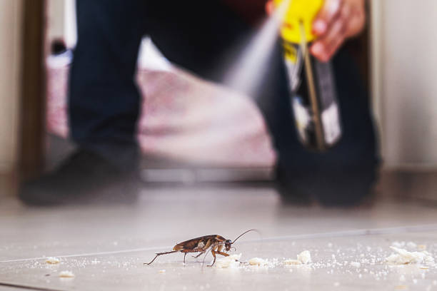 Flea Control Services in Menlo Park Terrace, NJ