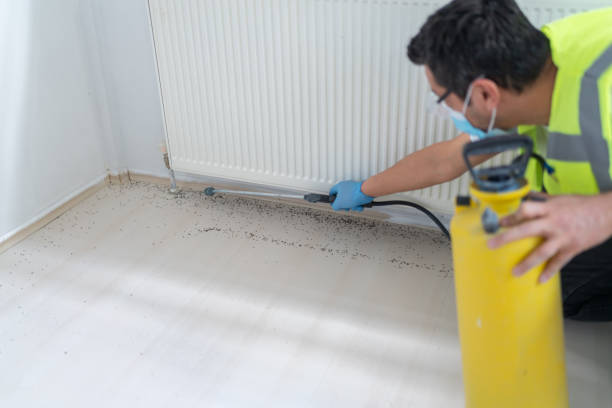 Best Local Pest Control Services  in Menlo Park Terrace, NJ